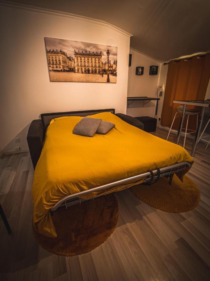 Le P'Tit Jeanne D'Arc Logements Insolites น็องซี ภายนอก รูปภาพ